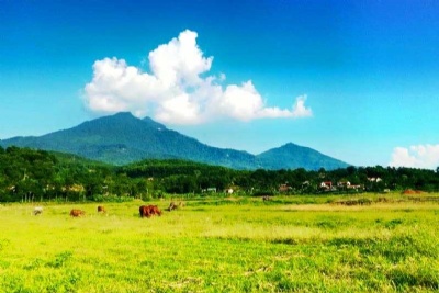 KHU DU LỊCH SINH THÁI LONG VIỆT - BA VÌ 1