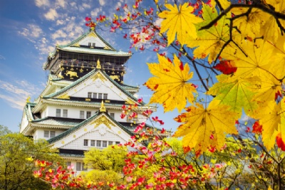 CUNG ĐƯỜNG VÀNG NHẬT BẢN 2025: OSAKA – KYOTO – NAGOYA – PHÚ SĨ – TOKYO 6 NGÀY 5 ĐÊM, BAY VIETNAM AIRLINES