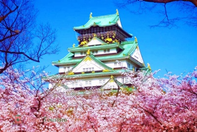 DU LỊCH NHẬT BẢN MÙA HOA ANH ĐÀO 2026: HÀ NỘI – TOKYO– PHÚ SĨ  – KYOTO - OSAKA 6 ngày 5 đêm, bay VN (về sáng)