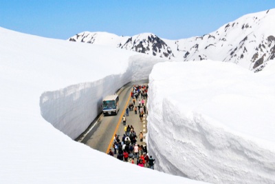 DU LỊCH NHẬT BẢN TUẦN LỄ VÀNG 2026: Cung đường tuyết Tateyama Kurobe Alpine: Hà Nội - Nagoya - Shirakawago- Alpine Route - Phú Sĩ - Tokyo 6 ngày 5 đêm, bay VN