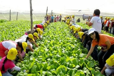 TRANG TRẠI GIÁO DỤC ĐỒNG QUÊ BA VÌ