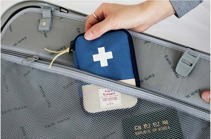 Đừng quên mang theo những loại thuốc say xe, cảm cúm,..