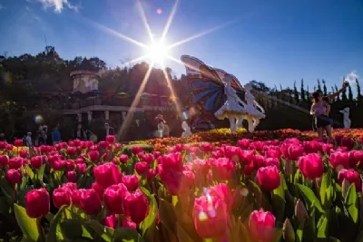 TP.HCM - ĐÀ NẴNG – HỘI AN – BÀ NÀ HILL