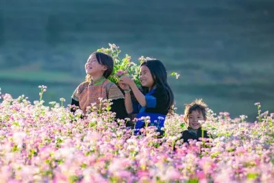 TP.HCM - HÀ NỘI - HÀ GIANG - CAO NGUYÊN ĐÁ ĐỒNG VĂN MÙA HOA TAM GIÁC MẠCH
