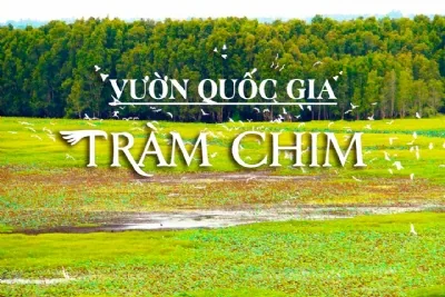 TP HCM – ĐỒNG THÁP – TRÀM CHIM TAM NÔNG – LÀNG HOA SA ĐÉC
