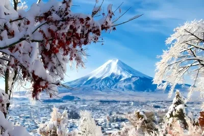 DU LỊCH NHẬT BẢN MÙA ĐÔNG 2026: HÀ NỘI – LÀNG CỔ SHIRAKAWAGO – PHÚ SĨ - TOKYO 6 ngày 5 đêm, bay VN (về chiều)