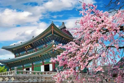 HÀ NỘI - SEOUL – NAMI – EVELAND 5N4D BAY VIETJET