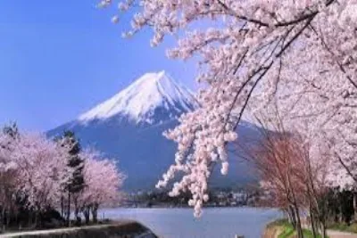 DU LỊCH NHẬT BẢN MÙA HOA ANH ĐÀO 2026: HÀ NỘI – OSAKA – KYOTO – PHÚ SĨ - TOKYO 6 ngày 5 đêm, bay VN