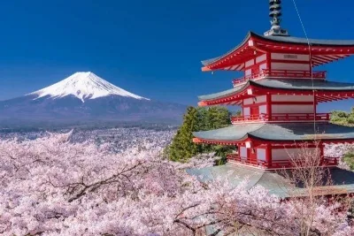 DU LỊCH NHẬT BẢN MÙA HOA ANH ĐÀO 2026: HÀ NỘI –HAKONE- MATSUMOTO- SHIRAWAKAGO- NAGOYA 6 ngày 5 đêm, bay VN