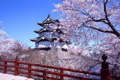 DU LỊCH NHẬT BẢN MÙA HOA TỬ ĐẰNG 2026: HÀ NỘI – OSAKA – KYOTO – PHÚ SĨ – TOKYO 6 ngày 5 đêm, bay VN (về chiều)