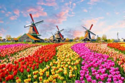 4 NƯỚC TÂY ÂU CHẤT LƯỢNG 2026: PHÁP - BỈ - (LUXEMBOURG) - HÀ LAN - ĐỨC 9N, BAY VIETNAM AIRLINES