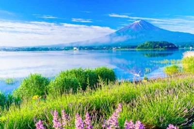 NHẬT BẢN CUNG ĐƯỜNG VÀNG: OSAKA - KYOTO - PHÚ SỸ - TOKYO - HANEDA 5 NGÀY, BAY VIETNAM AIRLINES